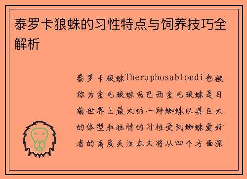 泰罗卡狼蛛的习性特点与饲养技巧全解析